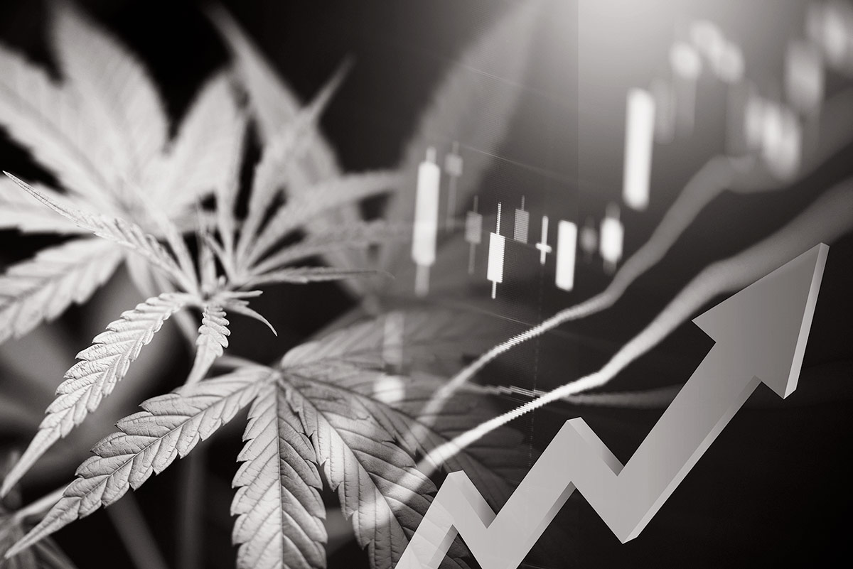 Banking battleground 2022 - Finding Opportunities cannabis