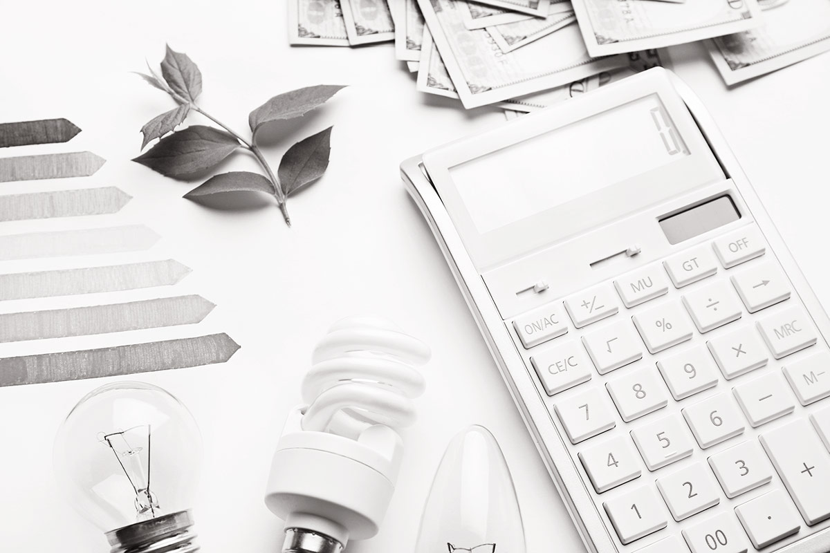 Environmental Sustainability in Banking