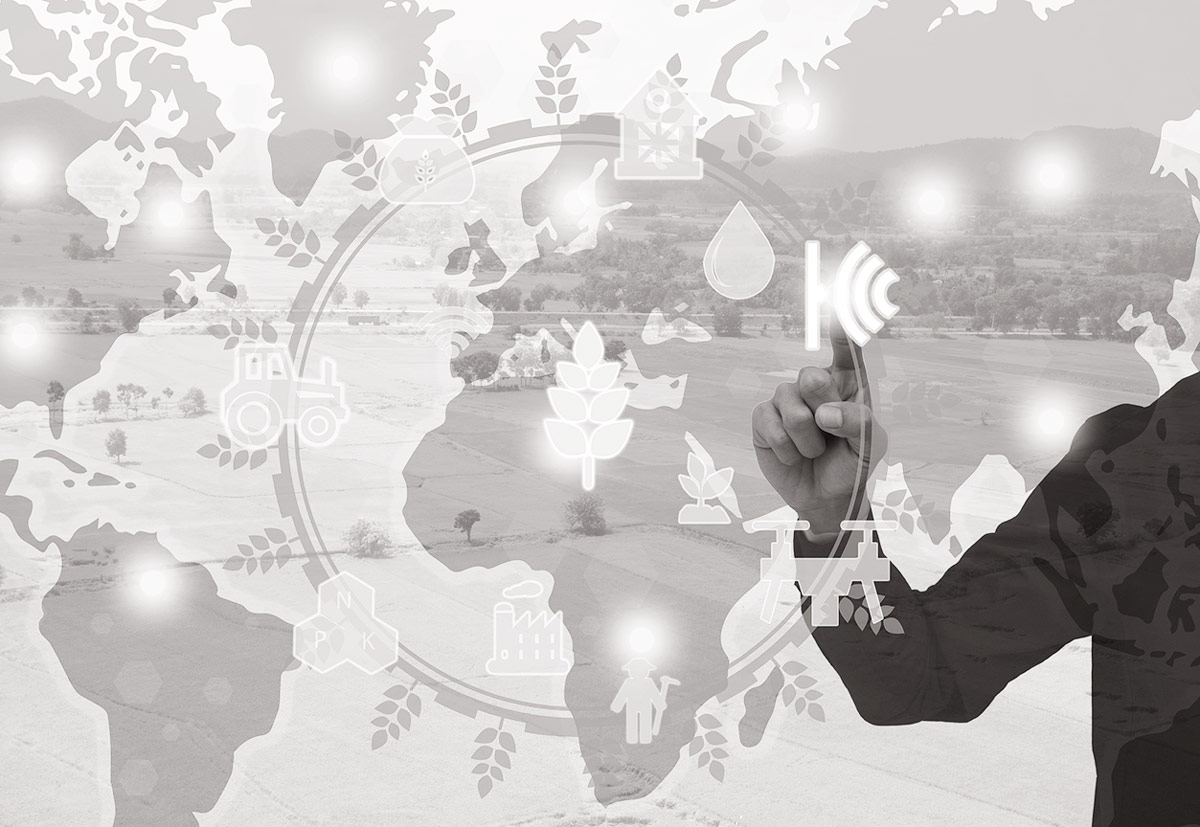 Environmental Sustainability in Banking