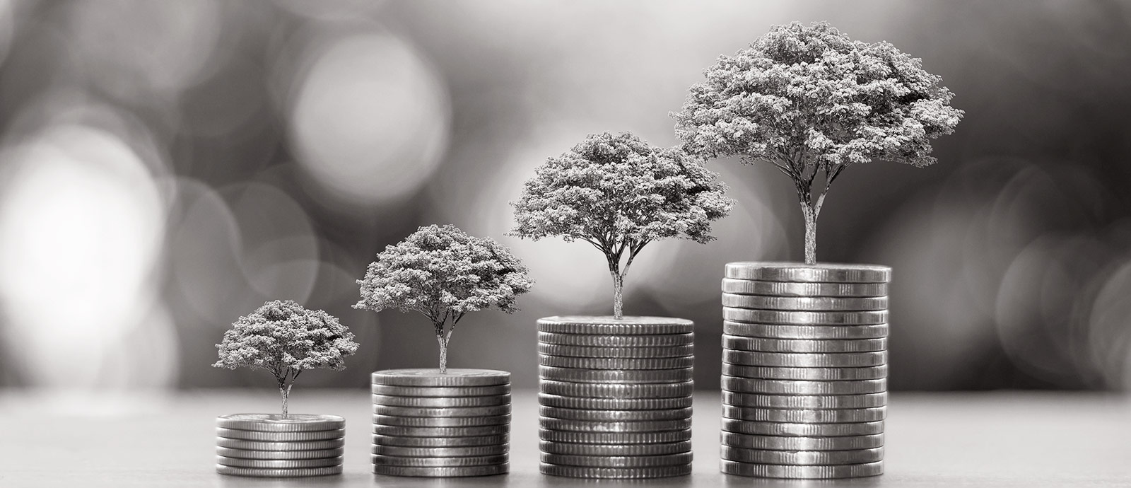 Environmental Sustainability in Banking